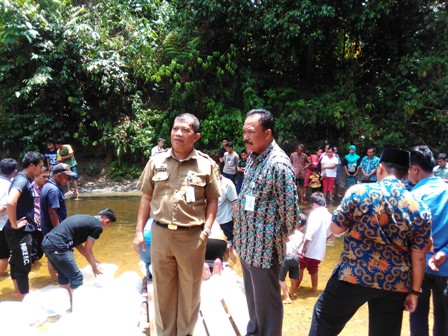 Ribuan Bibit Ikan Disebar di Sungai Kaiti Rambah Tengah Barat